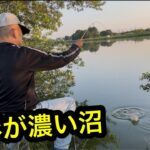 「魚影が濃い沼」　#小物釣り　#山ノ神沼