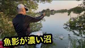 「魚影が濃い沼」 #小物釣り #山ノ神沼