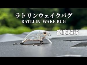 【新製品】ラトリンウェイクバグの全て。【エリアトラウト】【管理釣り場】