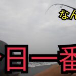 朝マズメの遠州灘サーフで釣りしたら入れ食いも入れ食いで…