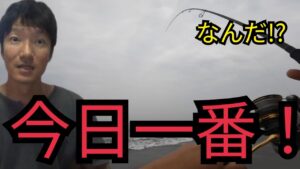 朝マズメの遠州灘サーフで釣りしたら入れ食いも入れ食いで…