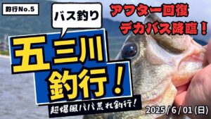 【バス釣り】五三川釣行「アフター回復デカバス降臨！」