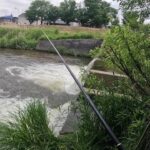 厚別川 熊が出没しないであろう市街地で釣り