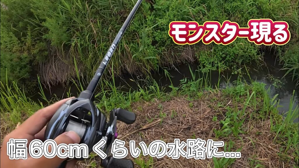 柴山沼→霞ケ浦→柴山沼！？移動距離ハンパねぇ…。【バス釣り】
