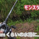 柴山沼→霞ケ浦→柴山沼！？移動距離ハンパねぇ…。【バス釣り】