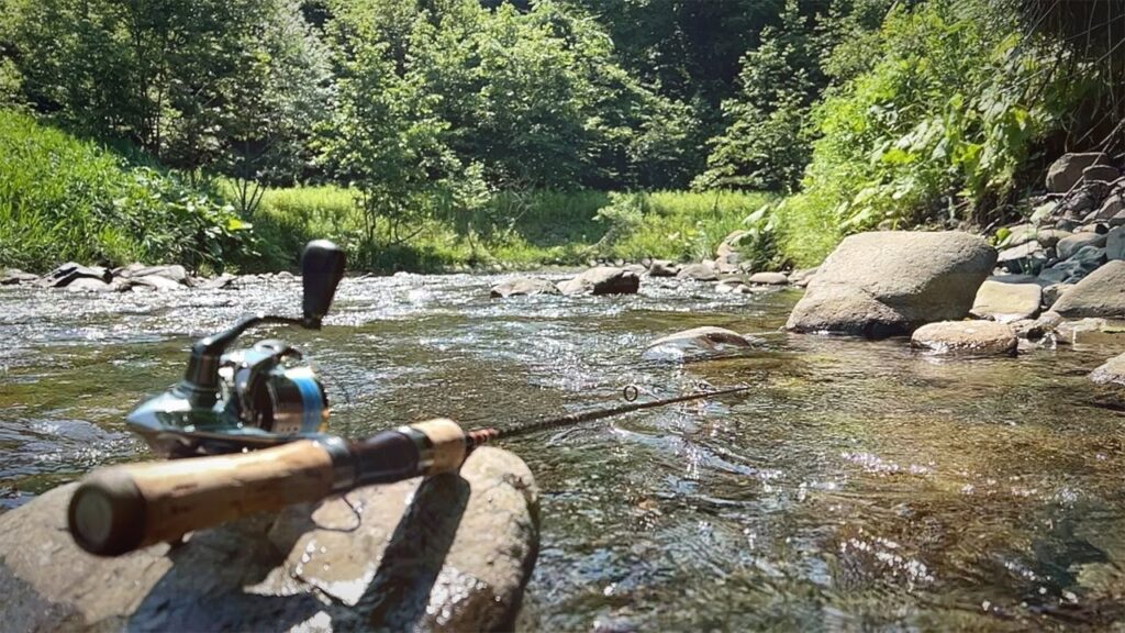 飛び込みで入った川は初心者にもってこいの川だった【北海道渓流釣り】