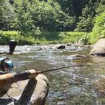 飛び込みで入った川は初心者にもってこいの川だった【北海道渓流釣り】