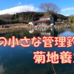 サクラマス多めな那須の管理釣り場「菊地養魚場」