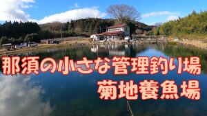 サクラマス多めな那須の管理釣り場「菊地養魚場」