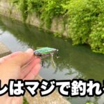 【小場所最強ルアー来た】値段は高いけどマジでこのルアーの出来が素晴らしいです。