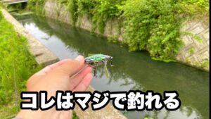 【小場所最強ルアー来た】値段は高いけどマジでこのルアーの出来が素晴らしいです。