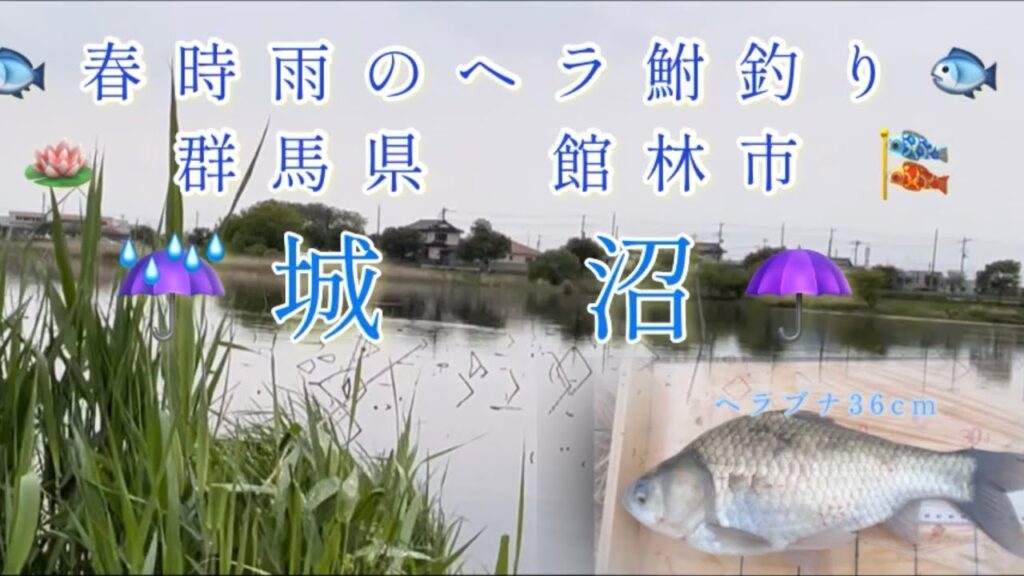 群馬県 館林市 城沼　春時雨のヘラ鮒釣り　日没寸前のバクバク タイム