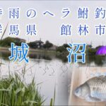 群馬県 館林市 城沼　春時雨のヘラ鮒釣り　日没寸前のバクバク タイム