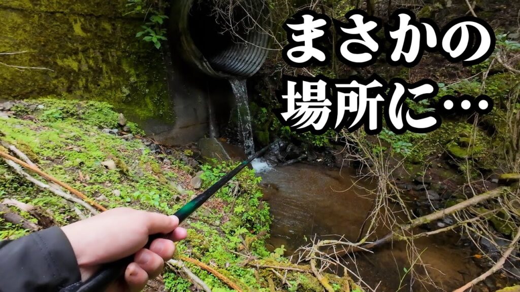 大きな魚影が見えたこの場所。釣れたのは黄金の…【渓流釣り】