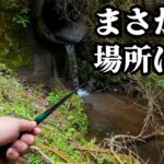 大きな魚影が見えたこの場所。釣れたのは黄金の…【渓流釣り】