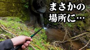 大きな魚影が見えたこの場所。釣れたのは黄金の…【渓流釣り】