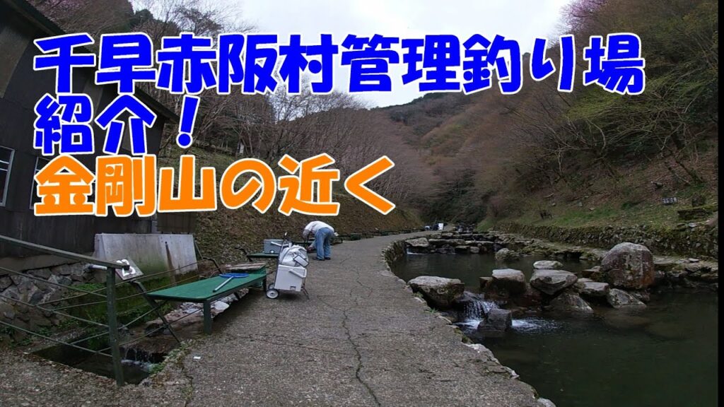 大阪の管理釣り場　千早川紹介