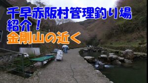 大阪の管理釣り場　千早川紹介
