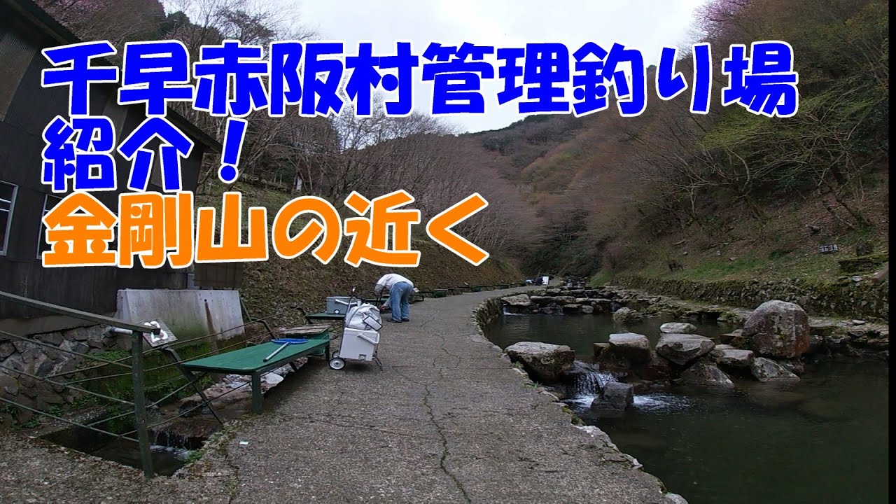 大阪の管理釣り場 千早川紹介