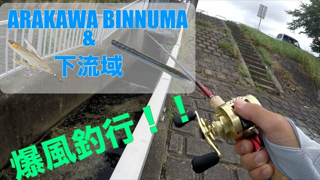 【荒川バス釣り】爆風のびん沼釣行！&下流域！