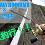 【荒川バス釣り】爆風のびん沼釣行！&下流域！