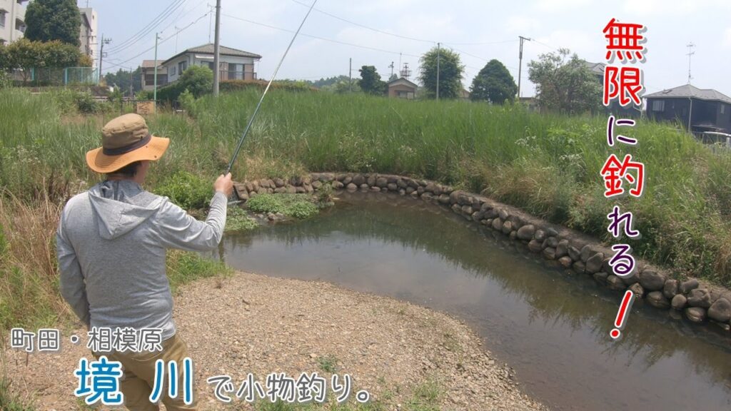 無限〇〇〇〇ー！  無限に釣れる！   町田・相模原 境川で小物釣り。