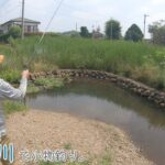 無限〇〇〇〇ー！  無限に釣れる！   町田・相模原 境川で小物釣り。