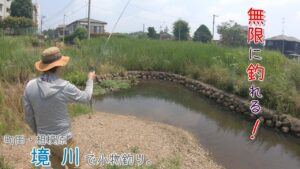 無限〇〇〇〇ー! 無限に釣れる! 町田・相模原 境川で小物釣り。