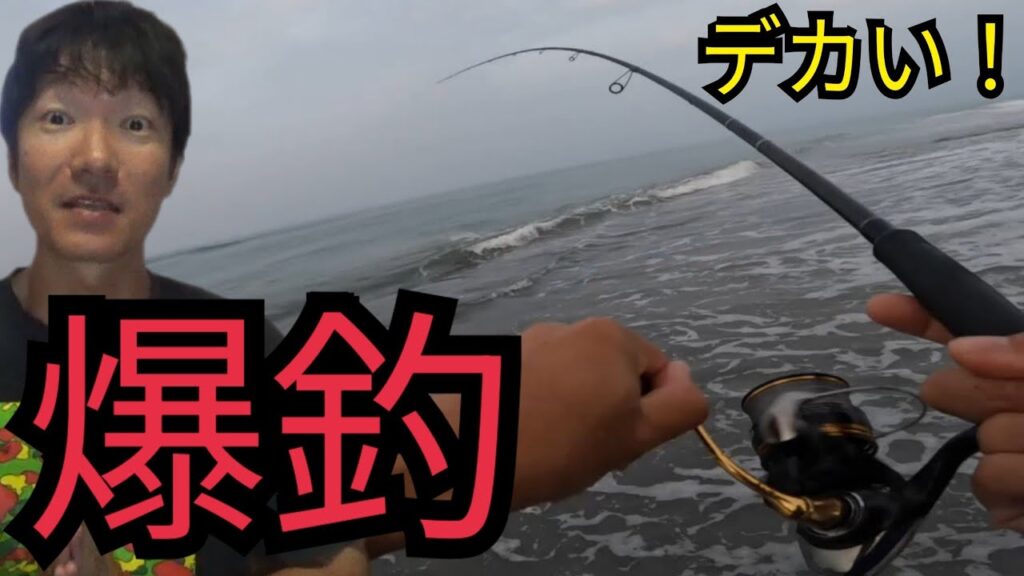 超朝一から遠州灘サーフへ釣りに行ったら…