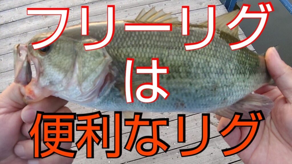 【近藤沼】【バス釣り　春】フリーリグの良さを実感してきた。【デプス】【スパイニークロー】