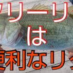 【近藤沼】【バス釣り　春】フリーリグの良さを実感してきた。【デプス】【スパイニークロー】
