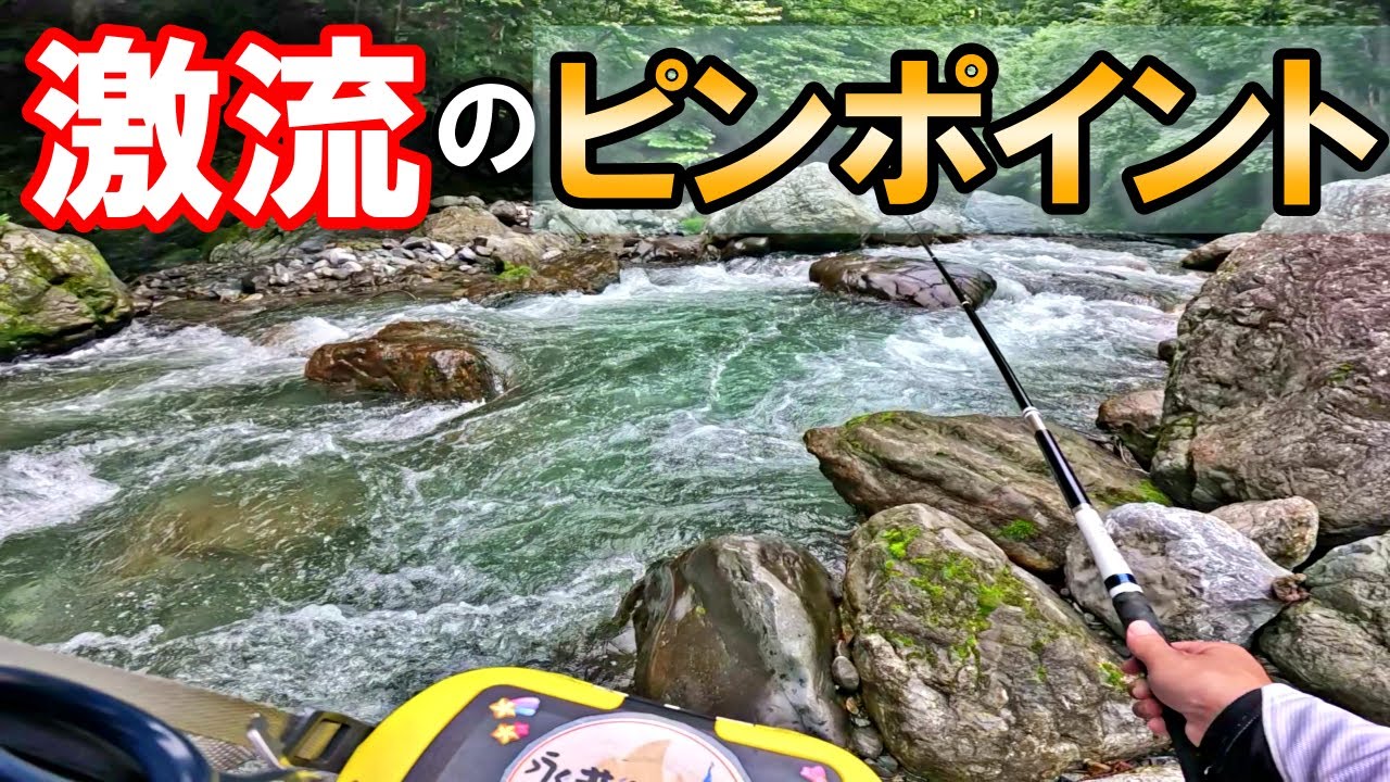 増水と濁りで渡れない!〇〇は意外と激流に潜んでいる⁉