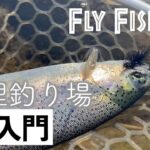 【簡単に釣れる！】フライフィッシング入門　管理釣り場