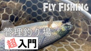 【簡単に釣れる！】フライフィッシング入門　管理釣り場