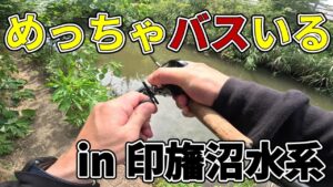 【印旛沼水系】印旛ってこんなにバスいるの？