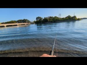 最速直近📢裏弁天【浜名湖白鱚最強水路】入ってきているのか？