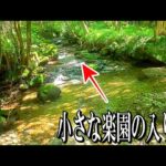 川釣りでゼロ百を一日で体験することになりました。