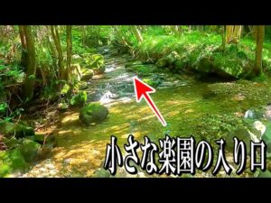 川釣りでゼロ百を一日で体験することになりました。