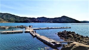 そこは釣り人夢の釣り公園!由良海釣り公園、10の魅力を紹介!