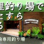 夏の修行の成果を試す！管理釣り場でひたすら釣ります【渓流釣り】