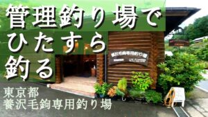 夏の修行の成果を試す!管理釣り場でひたすら釣ります【渓流釣り】