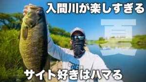 【バス釣り】教えたくないけど夏は入間川がおすすめ　スモールマウスバス