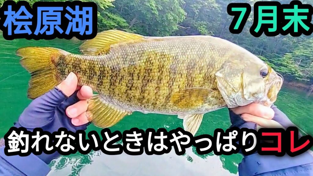 【桧原湖バス釣り】釣れないときはやっぱりコレ！【７月末】