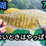 【桧原湖バス釣り】釣れないときはやっぱりコレ！【７月末】