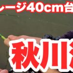 【釣り】秋川湖はモンスター天国？アベレージのやばい管理釣り場　#トラウトフィッシング　#虹鱒