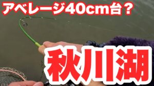 【釣り】秋川湖はモンスター天国?アベレージのやばい管理釣り場 #トラウトフィッシング #虹鱒