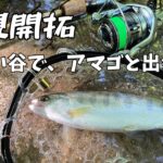 【渓流釣り】夜明けとともに谷川へ。新規開拓で楽しむ静かな釣行【南信州】
