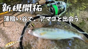 【渓流釣り】夜明けとともに谷川へ。新規開拓で楽しむ静かな釣行【南信州】