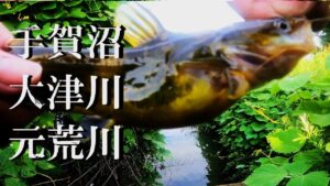 【手賀沼、大津川、元荒川、ウキ釣り】【利根川&荒川水系、バス釣り、コイ釣り、雷魚釣り、ナマズ釣り、フィシング、埼玉釣り、関東釣り、柏、さいたま市エリア】