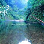 癒しの渓流　岩魚を釣って庭池で飼ってみたら巨大化した　絶品キャンプ飯